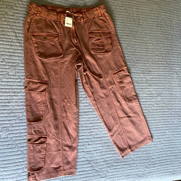 Free people Auburn terracota cargo pants XL - Picture 4 of 16